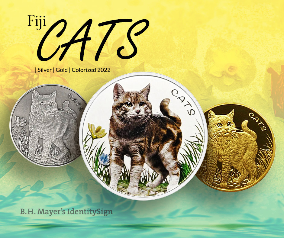 Fiji: Cats