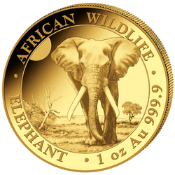 African Wildlife: Słoń Somalijski 1 uncja Złota 2025