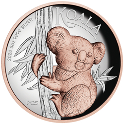 Australijska Koala pozłacana 5 uncji Srebra 2024 Proof High Relief 