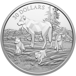 Canada: Multifaceted Animal Family - Timber Wolves 2 uncje Srebra 2024 Proof