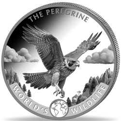 Congo: World‘s Wildlife - Peregrine Falcon 1 uncja Srebra 2024