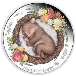 Dreaming Down Under: Śpiący Wombat kolorowany 1/2 uncji Srebra 2021 Proof