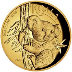 Koala 1 uncja Złota 2024 Proof High Relief