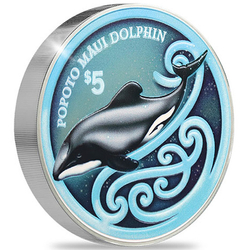 New Zealand: Popoto Maui Dolphin kolorowany 2 uncje Srebra 2024 Proof