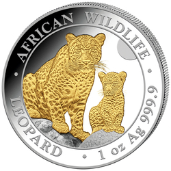 Somalia: African Wildlife - Leopard pozłacany 1 uncja Srebra 2024