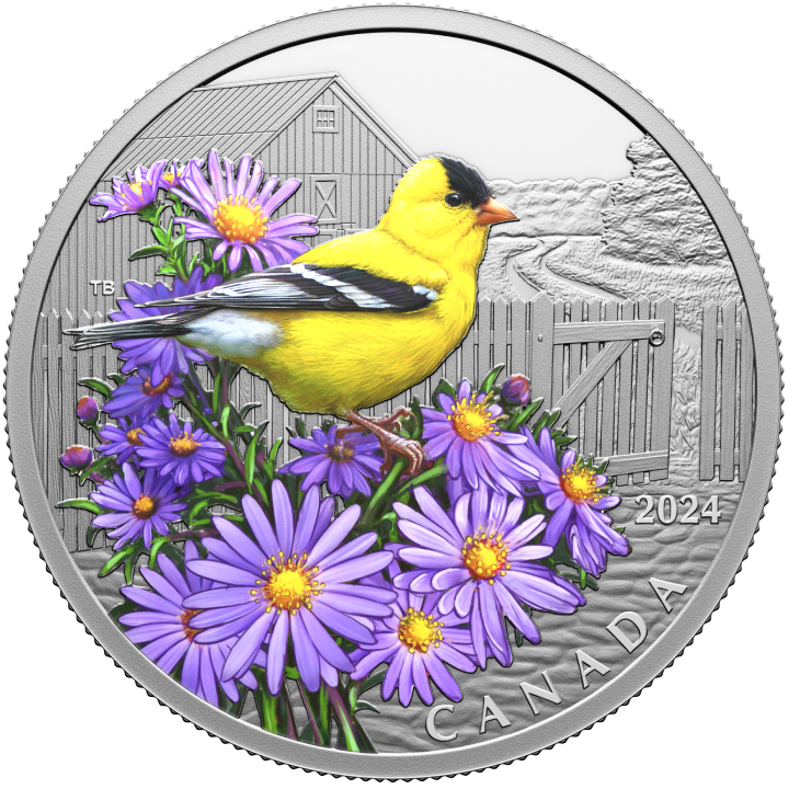 Canada: Colourful Birds - American Goldfinch kolorowany $20 Srebro 2024 Proof 