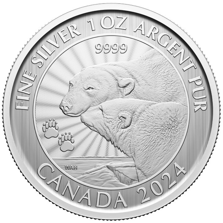 Canada: The Majestic Polar Bear 1 uncja Srebra 2024 (w karcie)