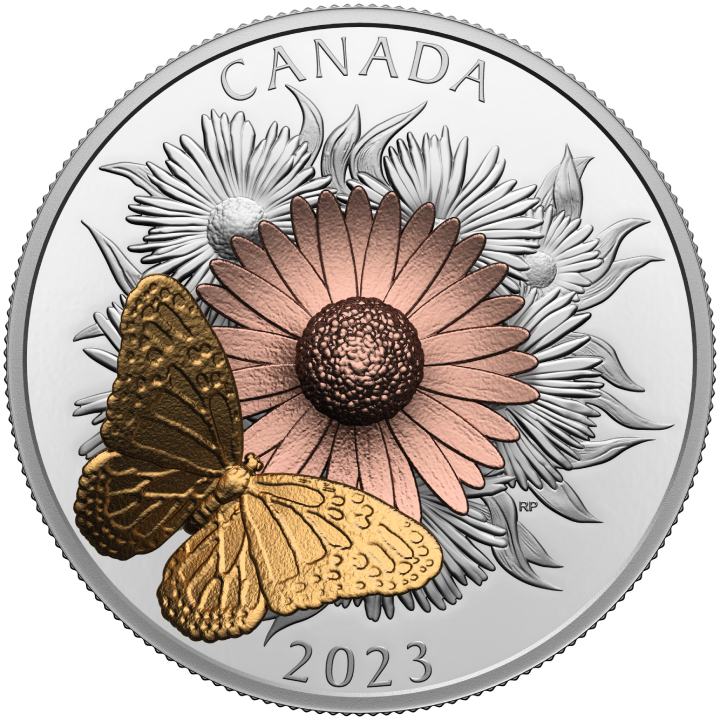 Canada: The Monarch and the Bloom kolorowany, pozłacany $50 Srebro 2023 Proof 