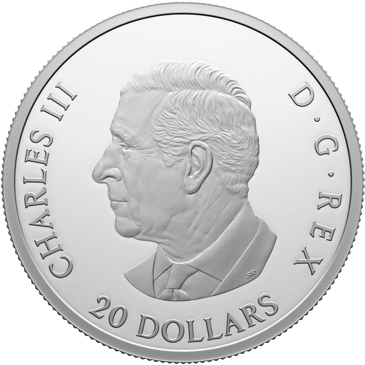 Canada: The Royal Canadian Air Force Centennial $20 Srebro 2024 Proof 