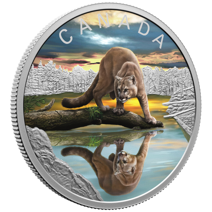 Canada: Wildlife Reflections - Cougar kolorowany $20 Srebro 2024 Proof 