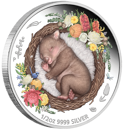 Dreaming Down Under: Śpiący Wombat kolorowany 1/2 uncji Srebra 2021 Proof