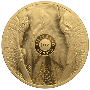 Big Five III: Elephant 1 uncja Złota 2024 Proof