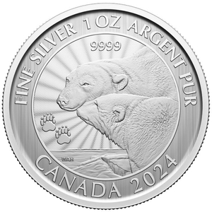 Canada: The Majestic Polar Bear 1 uncja Srebra 2024 (w karcie)