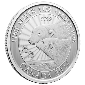 Canada: The Majestic Polar Bear 1 uncja Srebra 2024 (w karcie)