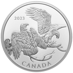 Canada: The Striking Bald Eagle $30 Srebro 2023 Proof