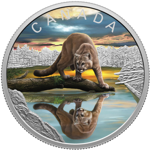 Canada: Wildlife Reflections - Cougar kolorowany $20 Srebro 2024 Proof 