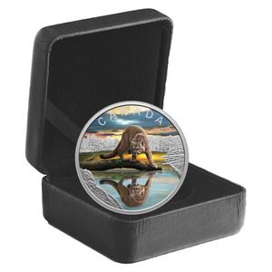 Canada: Wildlife Reflections - Cougar kolorowany $20 Srebro 2024 Proof 